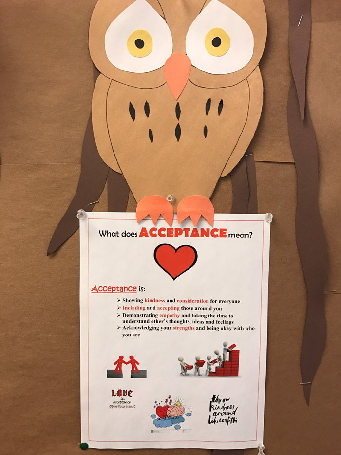 acceptance-owl