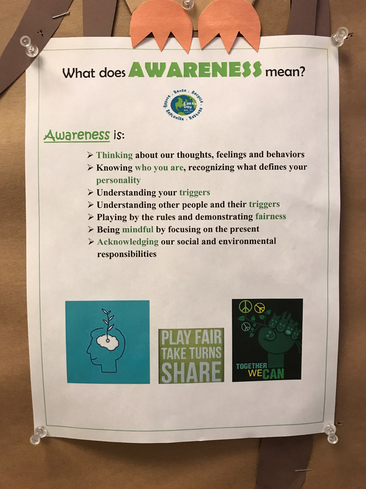 What Does Awareness Mean