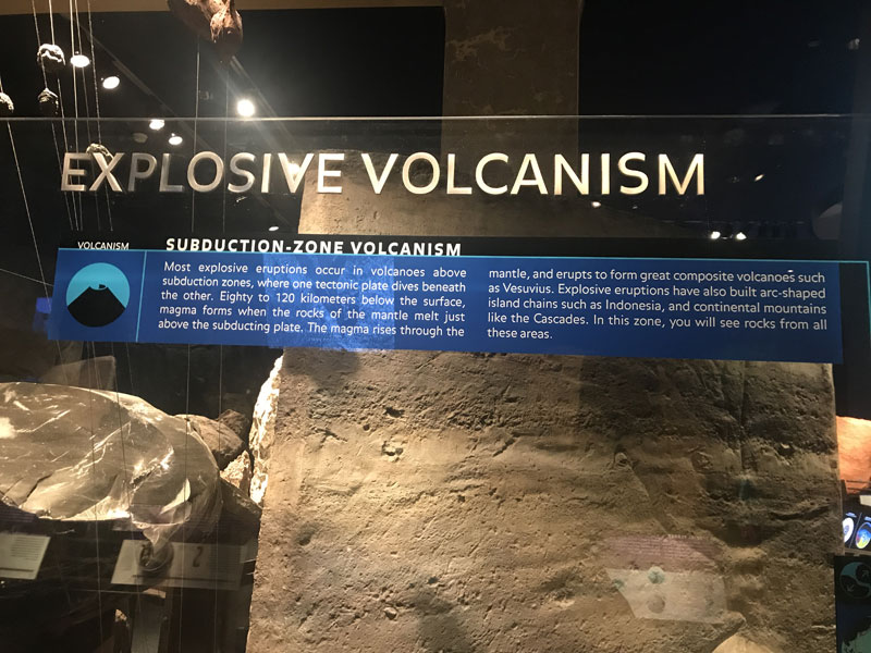 natural-history-4