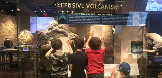 Museum of Natural History