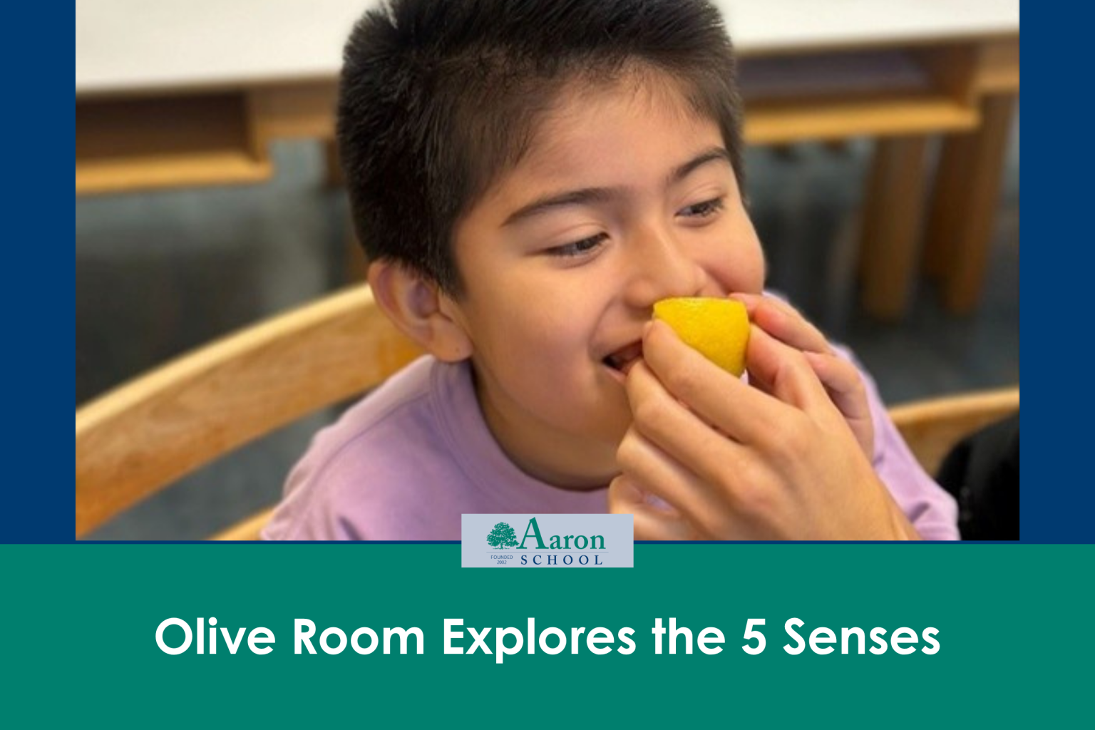 Olive Room Explores the 5 Senses